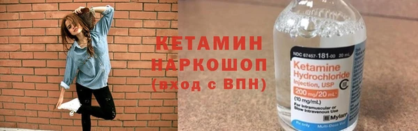 сатива Баксан