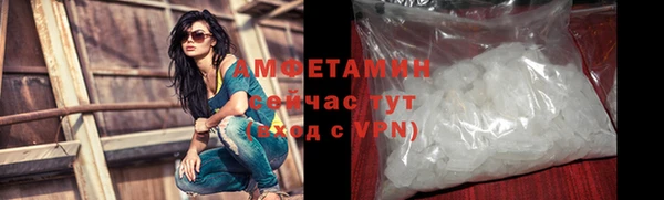 сатива Баксан