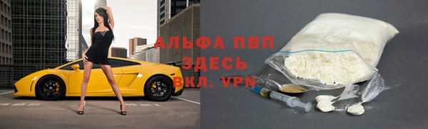 сатива Баксан