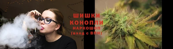 сатива Баксан
