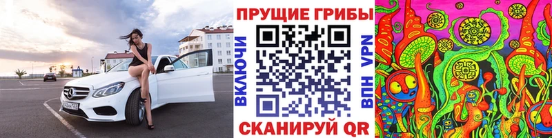 blacksprut сайт  Заволжск  Псилоцибиновые грибы прущие грибы 