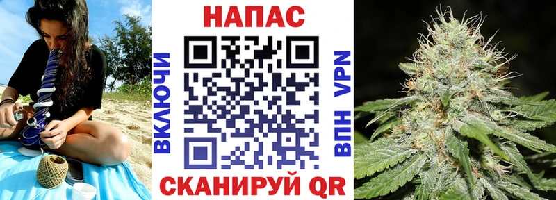 где купить наркоту  Заволжск  Шишки марихуана планчик 
